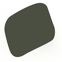 nd10.jpg